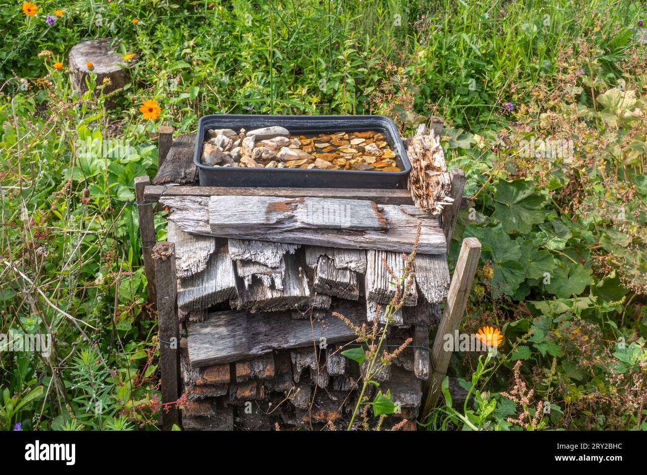 Abri rustique pour insectes fait avec de vieilles planches de bois, avec un plateau d'eau potable sur le dessus pour les insectes et autres animaux sauvages, Angleterre, Royaume-Uni Banque D'Images