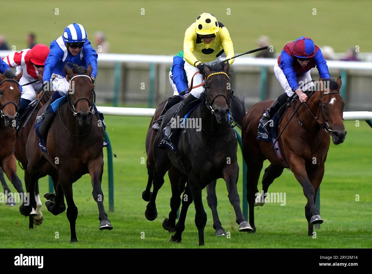 Alyanaabi monté par le jockey Jim Crowley (à gauche) remporte les Tattersalls Stakes avec Boiling point monté par le jockey James Doyle (au centre à droite, jaune) deuxième lors de la première journée du Cambridgeshire Meeting à Newmarket Racecourse. Date de la photo : jeudi 28 septembre 2023. Banque D'Images