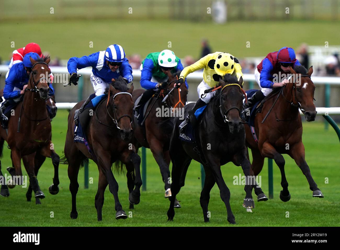 Alyanaabi monté par le jockey Jim Crowley (deuxième à gauche) remporte les Tattersalls Stakes avec Boiling point monté par le jockey James Doyle (deuxième à droite, jaune) deuxième lors de la première journée du Cambridgeshire Meeting à Newmarket Racecourse. Date de la photo : jeudi 28 septembre 2023. Banque D'Images