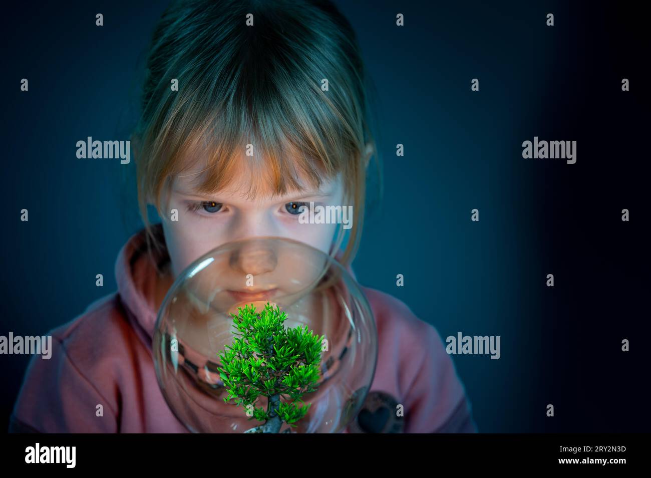Curios enfant regarde un arbre dans une ampoule. Symbole de l'énergie verte. Banque D'Images