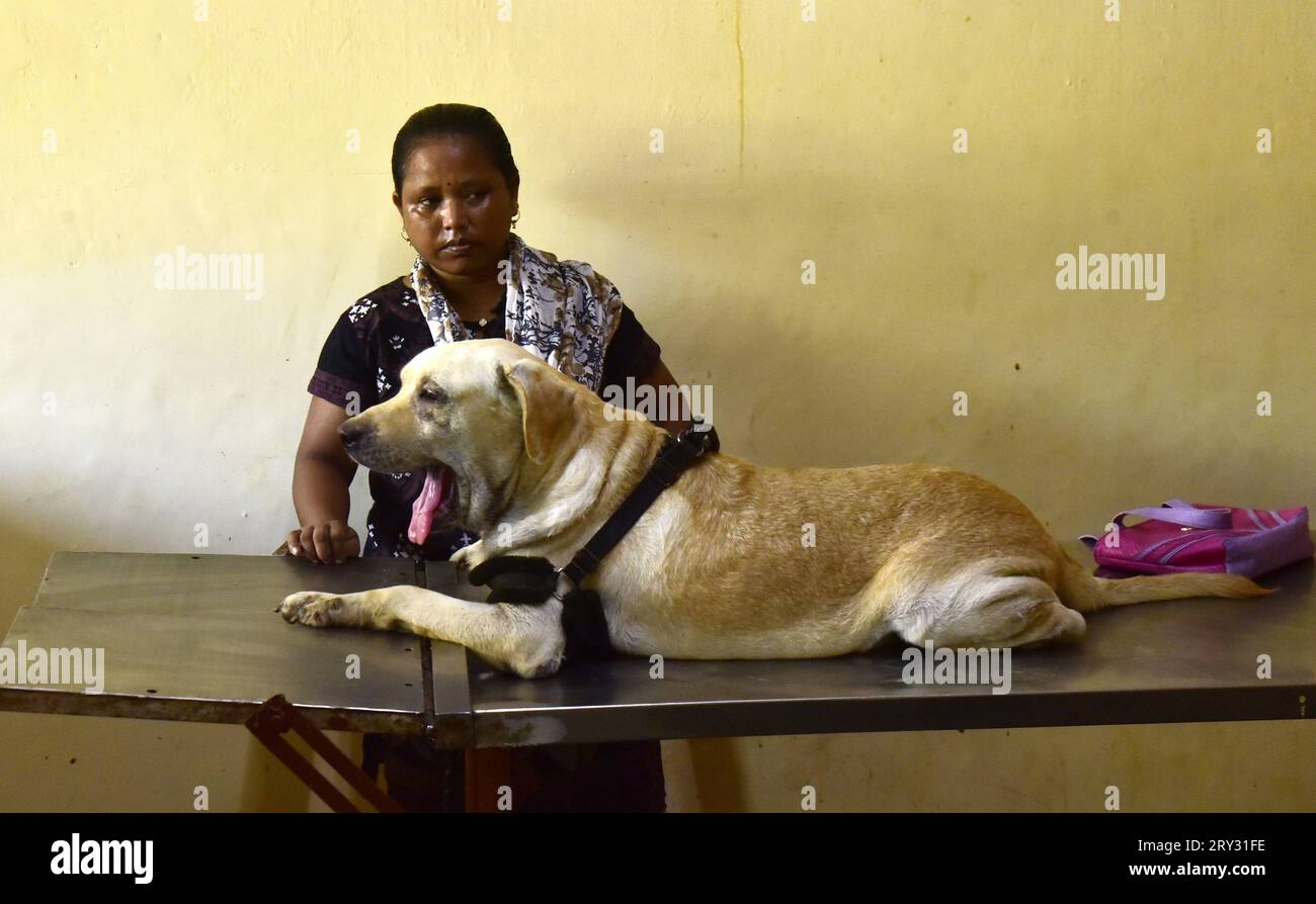 Guwahati, Guwahati, Inde. 28 septembre 2023. Une femme attend avec son chien de compagnie pour injecter gratuitement le vaccin anti-rage pendant la campagne de vaccination anti-rage gratuite dans le cadre de la Journée mondiale de la rage dans un hôpital vétérinaire à Guwahati Assam Inde le jeudi 28 septembre 2023. (Image de crédit : © Dasarath Deka/ZUMA Press Wire) USAGE ÉDITORIAL SEULEMENT! Non destiné à UN USAGE commercial ! Banque D'Images