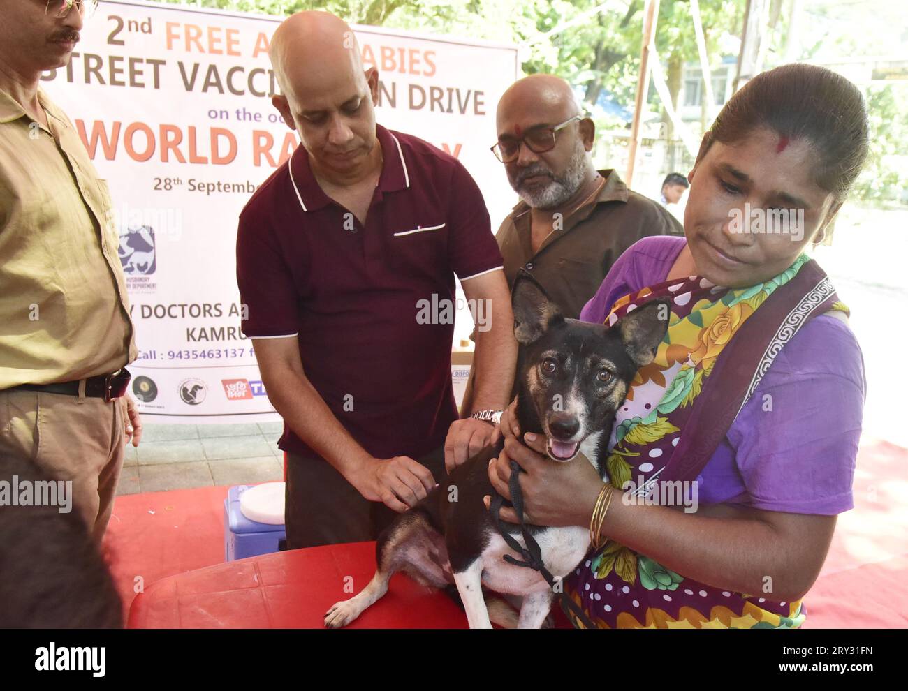 Guwahati, Guwahati, Inde. 28 septembre 2023. Un médecin injecte gratuitement le vaccin anti-rage à un chien de compagnie lors de la campagne de vaccination anti-rage gratuite dans le cadre de la Journée mondiale de la rage dans un hôpital vétérinaire à Guwahati Assam Inde le jeudi 28 septembre 2023. (Image de crédit : © Dasarath Deka/ZUMA Press Wire) USAGE ÉDITORIAL SEULEMENT! Non destiné à UN USAGE commercial ! Banque D'Images