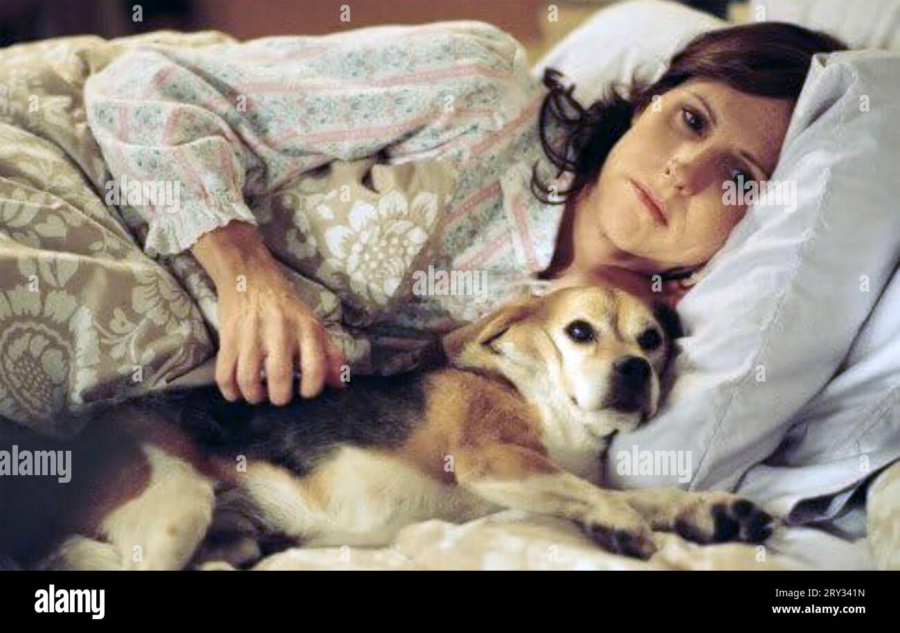 ANNÉE DU CHIEN 2007 Paramount Vantage film avec Molly Shannon Banque D'Images