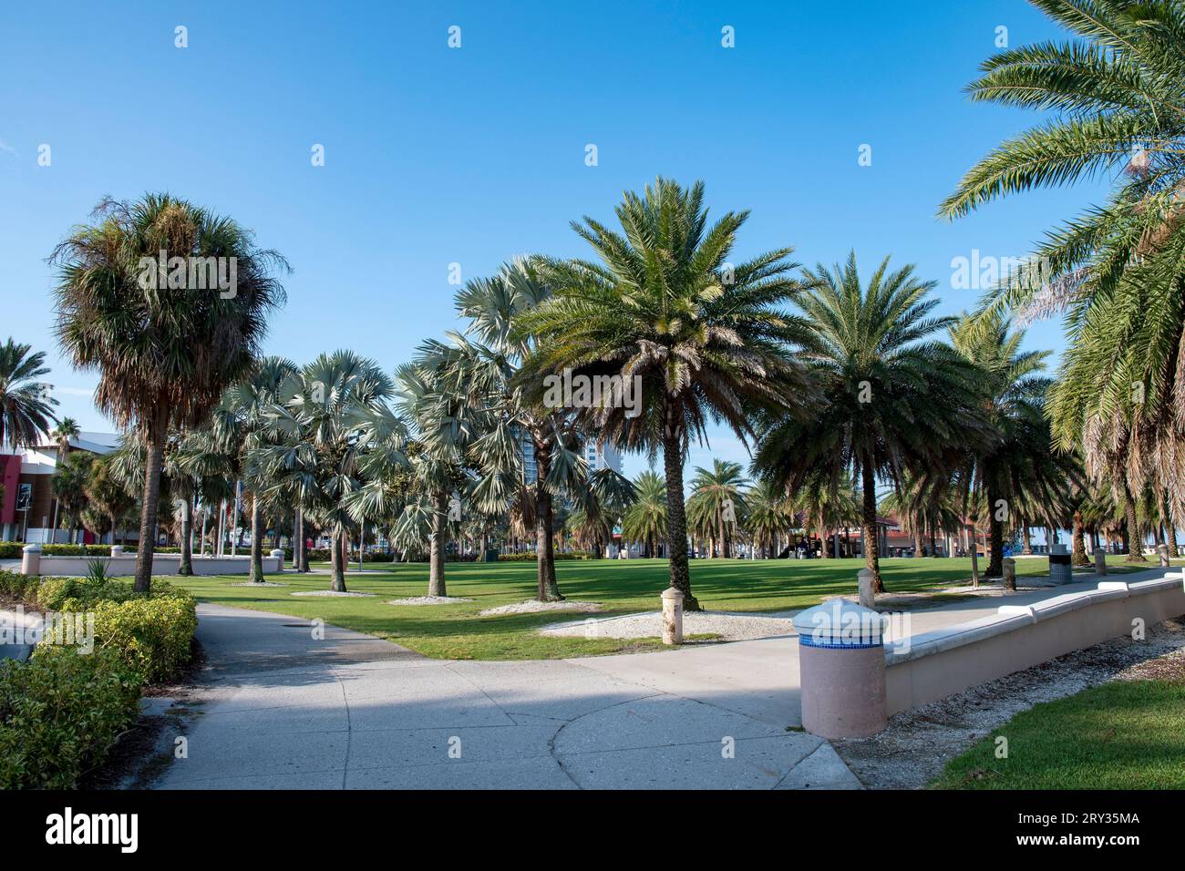 Clearwater Beach comprend une zone de villégiature et une zone résidentielle sur une île barrière dans le golfe du Mexique dans le comté de Pinellas sur la côte centre-ouest Banque D'Images