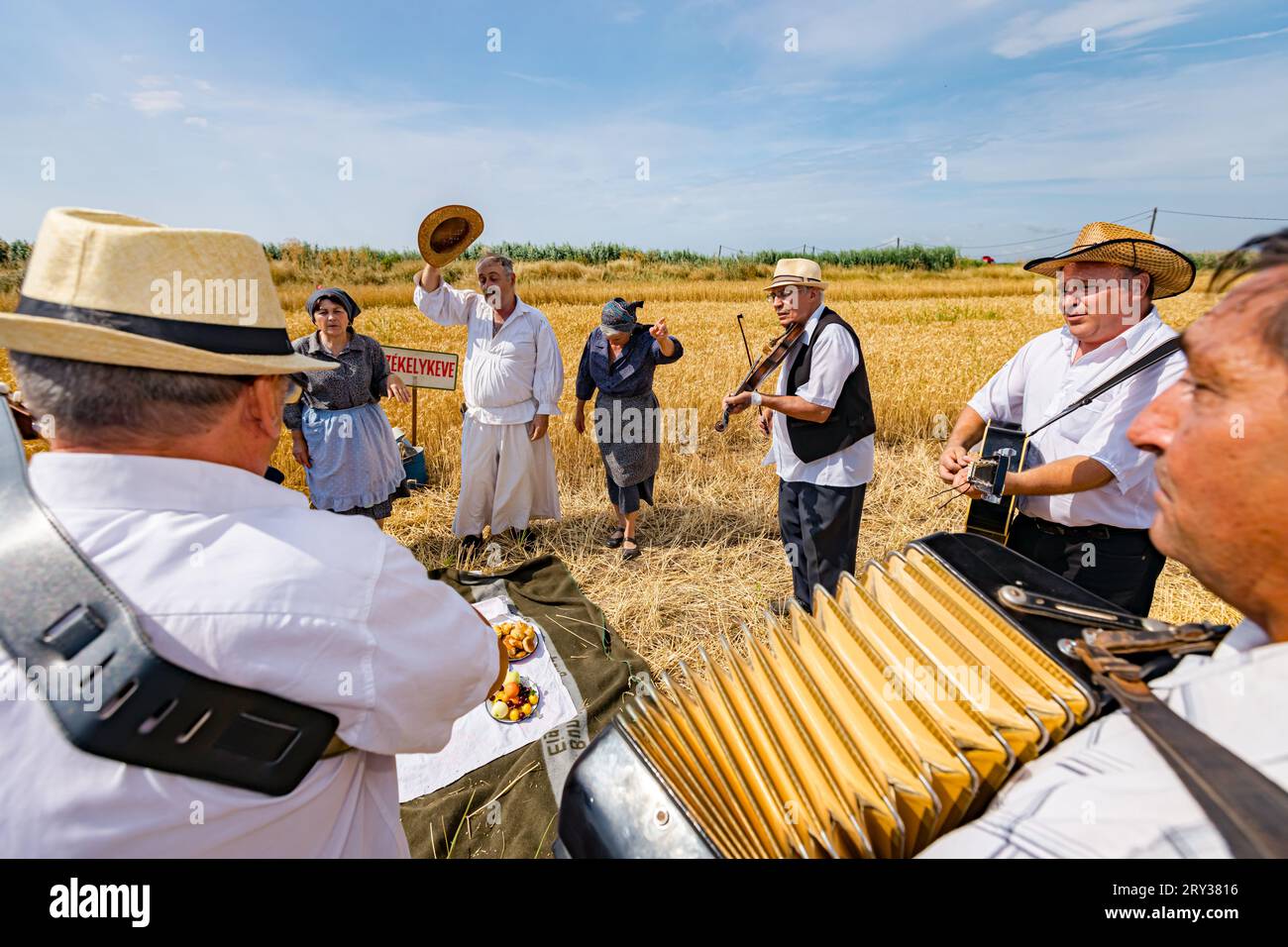 Muzlja, Voïvodine, Serbie, - 02 juillet 2022; XXXIX récolte traditionnelle de blé. Accordéoniste étire des soufflets d'accordéon. Musique pour le succès befo Banque D'Images