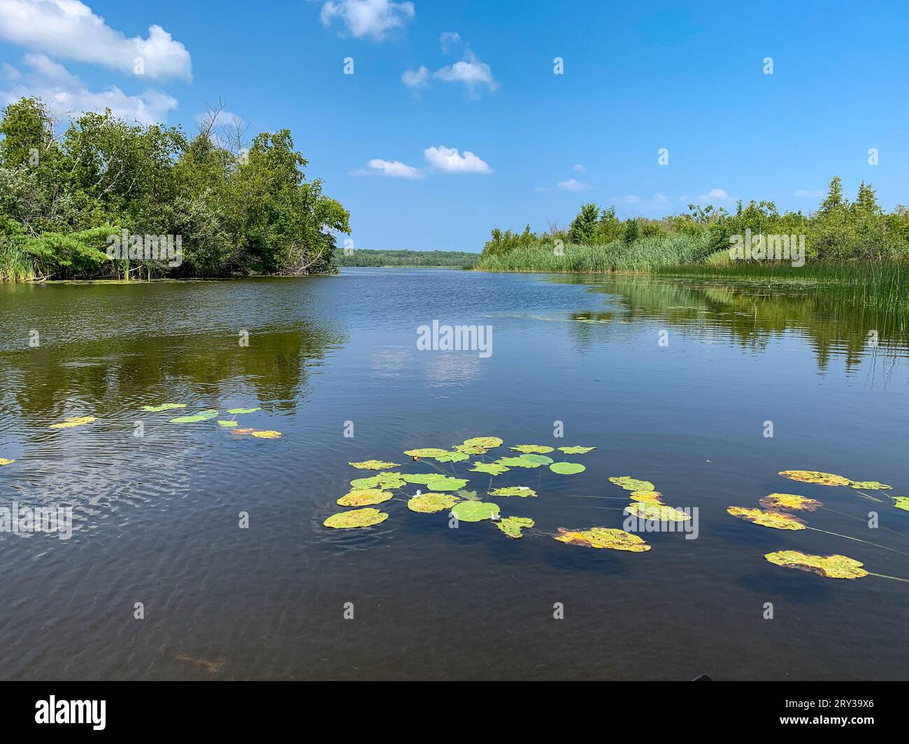 Une des choses que j'aime faire pour les loisirs de plein air dans le comté de Door est le kayak dans les nombreux ruisseaux et lacs intérieurs là-bas, ainsi que le lac Michigan. Banque D'Images