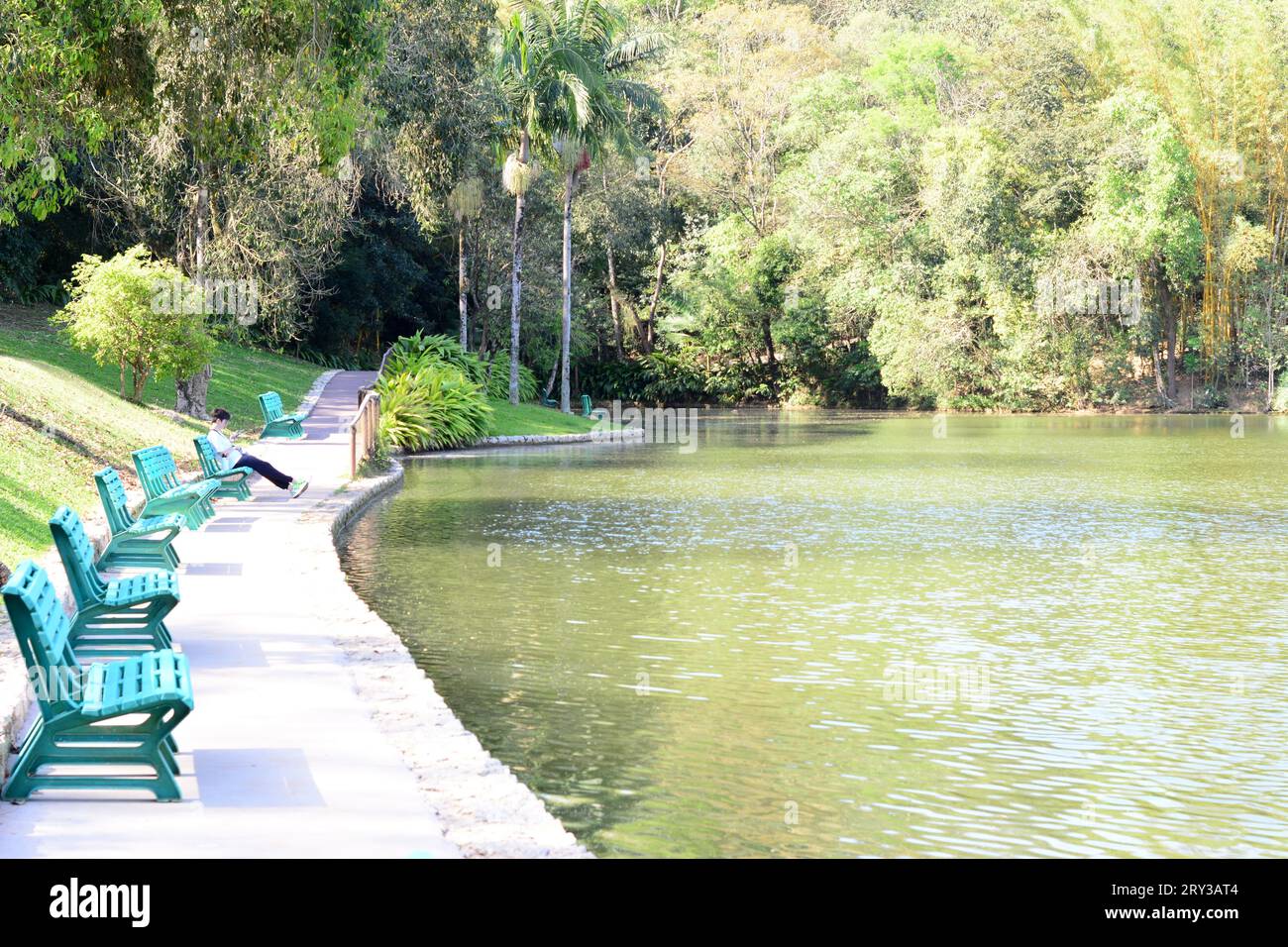 Jeune homme avec des lunettes assis sur un banc en bois lisant un livre devant un lac. Grand angle Banque D'Images