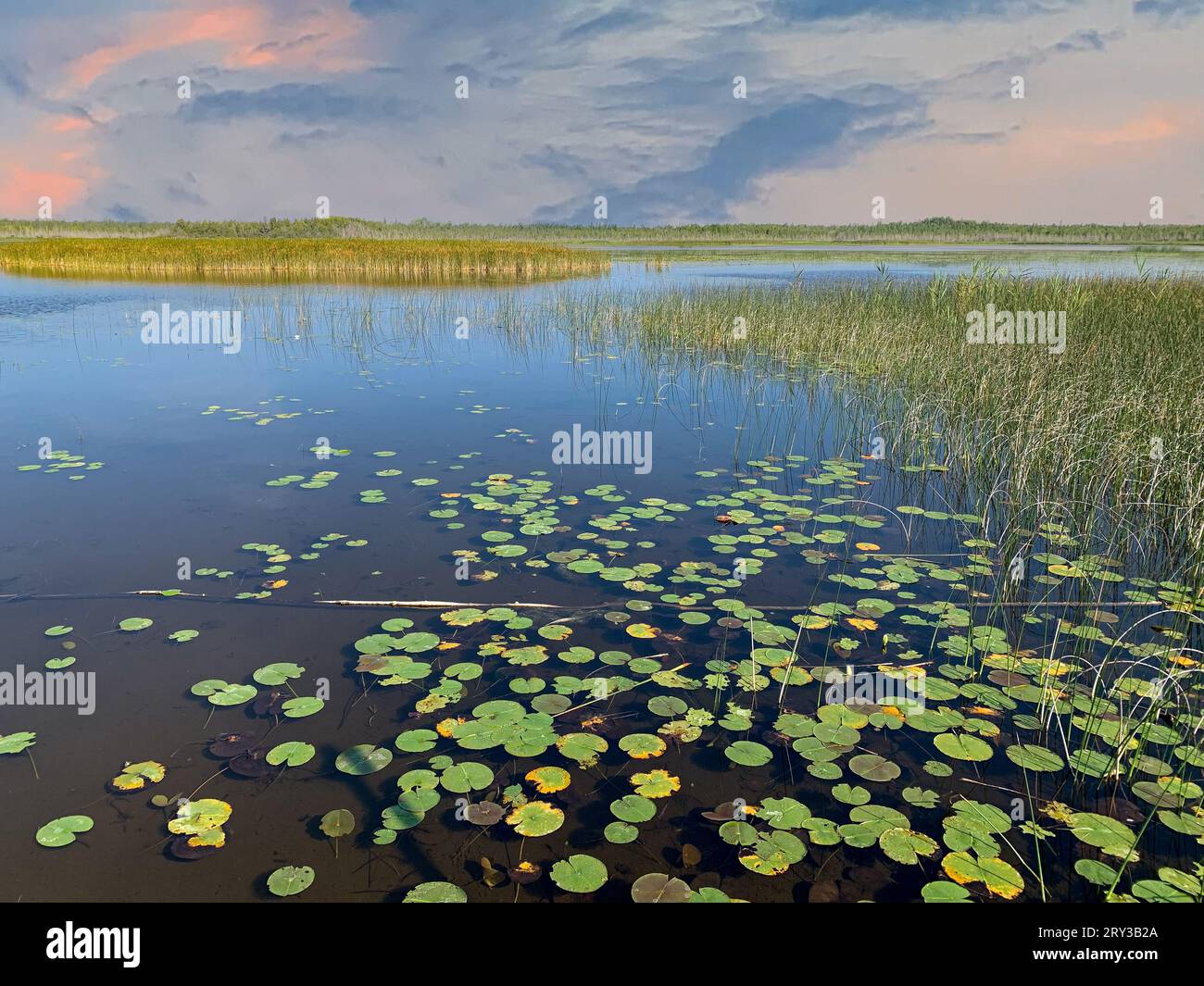 Une des choses que j'aime faire pour les loisirs de plein air dans le comté de Door est le kayak dans les nombreux ruisseaux et lacs intérieurs là-bas, ainsi que le lac Michigan. Banque D'Images