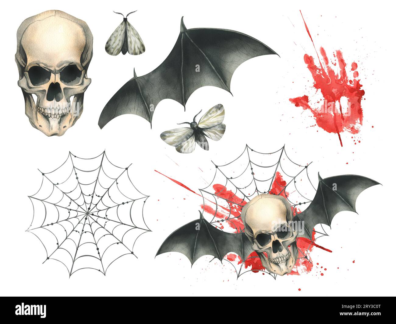 Vue de face d'un crâne humain avec des ailes de chauve-souris noires avec une tache de sang et des toiles d'araignée pour la fête du jour de la mort et Halloween. Illustration à l'aquarelle Banque D'Images