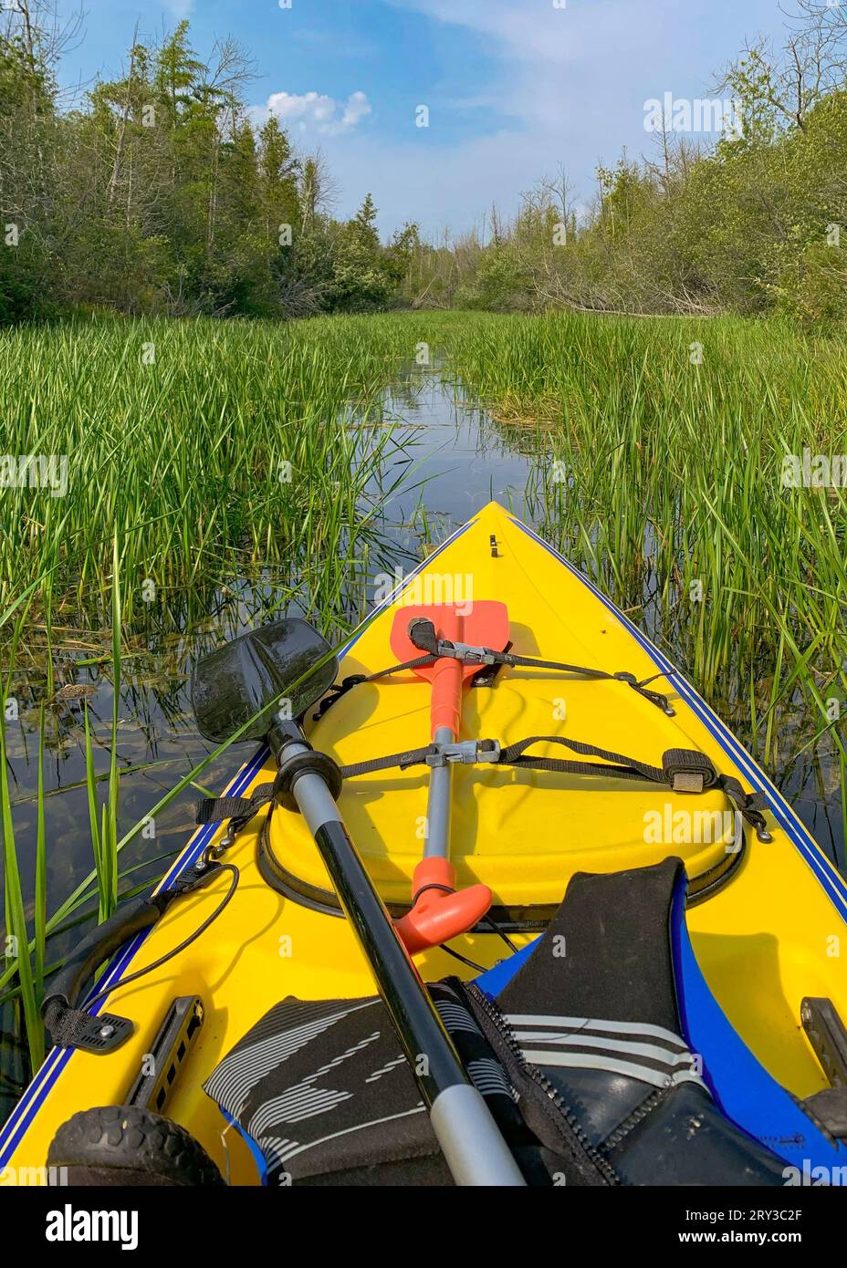 Une des choses que j'aime faire pour les loisirs de plein air dans le comté de Door est le kayak dans les nombreux ruisseaux et lacs intérieurs là-bas, ainsi que le lac Michigan. Banque D'Images