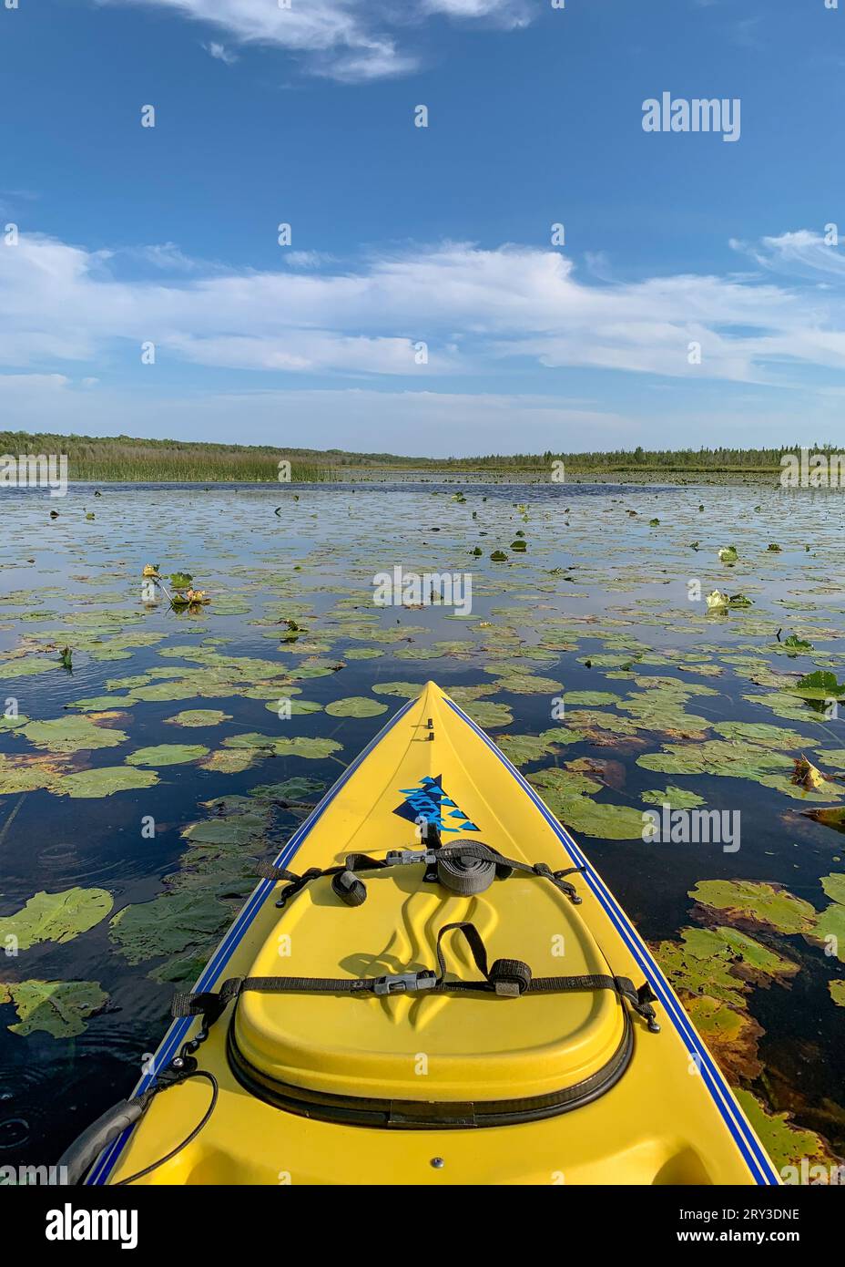 Une des choses que j'aime faire pour les loisirs de plein air dans le comté de Door est le kayak dans les nombreux ruisseaux et lacs intérieurs là-bas, ainsi que le lac Michigan. Banque D'Images