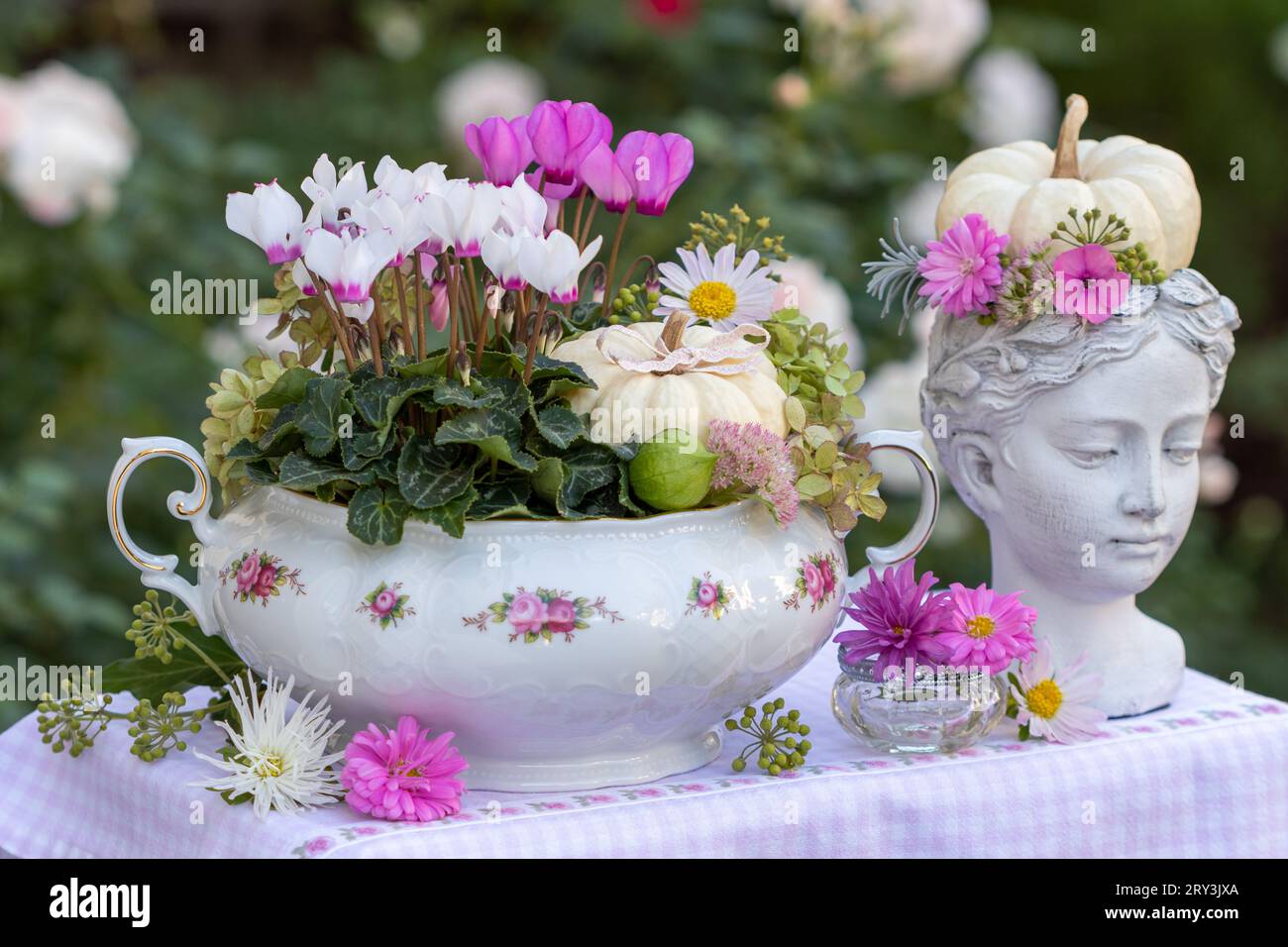 arrangement floral avec des fleurs de cyclamen et des citrouilles blanches dans une soupe vintage Banque D'Images