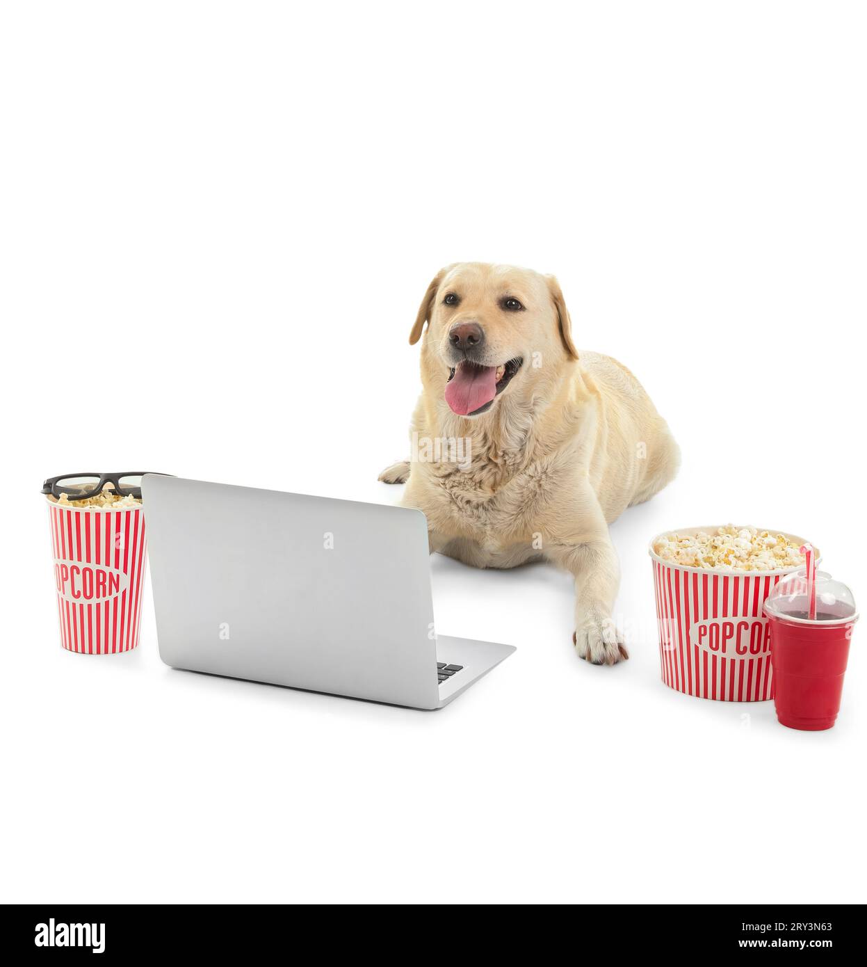 Chien Labrador mignon avec seaux de pop-corn, tasse de soda, lunettes 3D et ordinateur portable couché sur fond blanc Banque D'Images