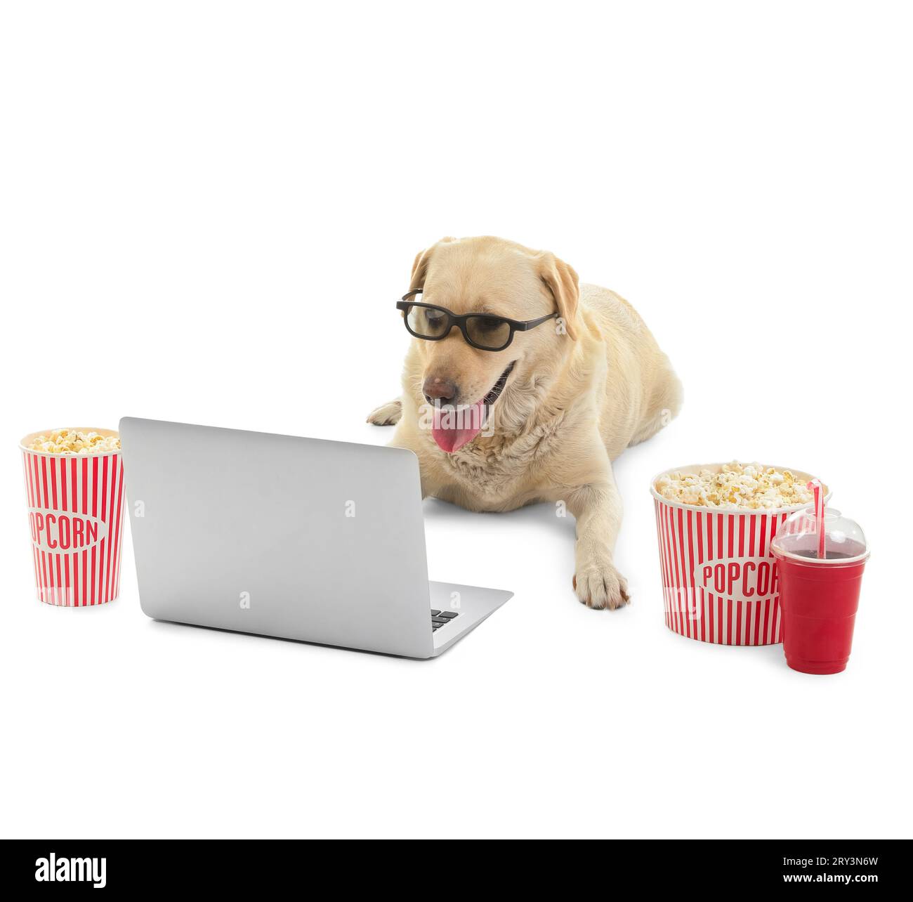 Chien Labrador mignon avec seaux de pop-corn, tasse de soda, lunettes 3D et ordinateur portable couché sur fond blanc Banque D'Images