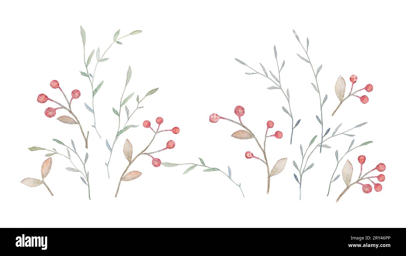 Aquarelle baies rouges, Aquarelle Floral Clipart, Aquarelle baies Clipart, illustrations Forest Berry, fond blanc Banque D'Images