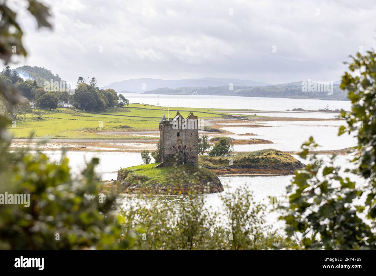 Die Burg Castle Stalker aus dem 14. Jahrhundert à Appin dans Schottland. Die Inselburg steht auf einer kleinen, felsigen Gezeiteninsel im Loch Laich, einer Bucht des Loch Linnhe. SIE diente als Filmkulisse für den Kultfilm Monty Python et le Saint Graal Ritter der Kokosnuss 21.09.2023 Appin Portnacroish Schottland Großbritannien *** le château du 14e siècle Stalker à Appin, Écosse le château de l'île se dresse sur une petite île rocheuse à marée dans le Loch Laich, une baie de Loch Linnhe il a servi de décor de film pour le film culte Monty Python et les saints Chevaliers du Graal de la noix de coco 21 09 2023 Appin Portnac Banque D'Images