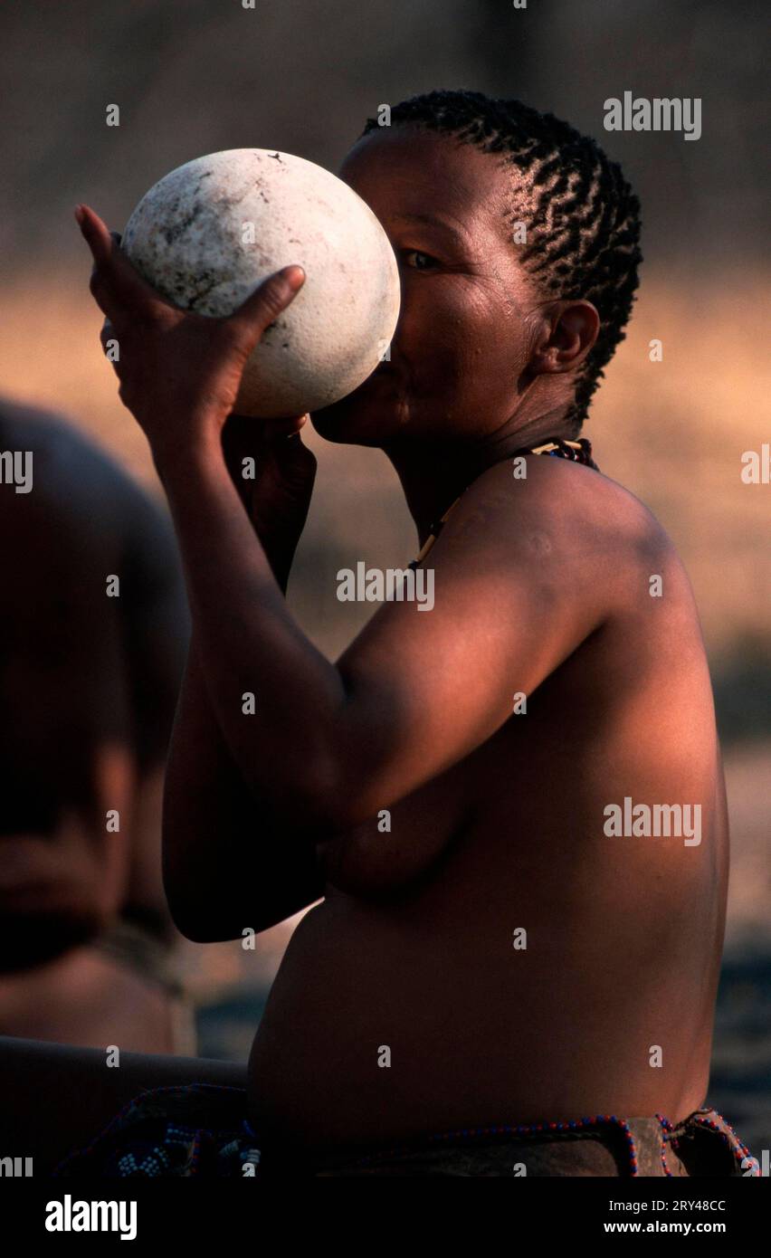 Bushman Woman boit de l'oeuf d'autruche, San, Bushmen, Kalahari, Namibie Banque D'Images