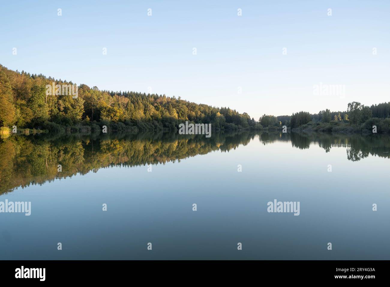 Reflet parfait des arbres dans un lac Banque D'Images