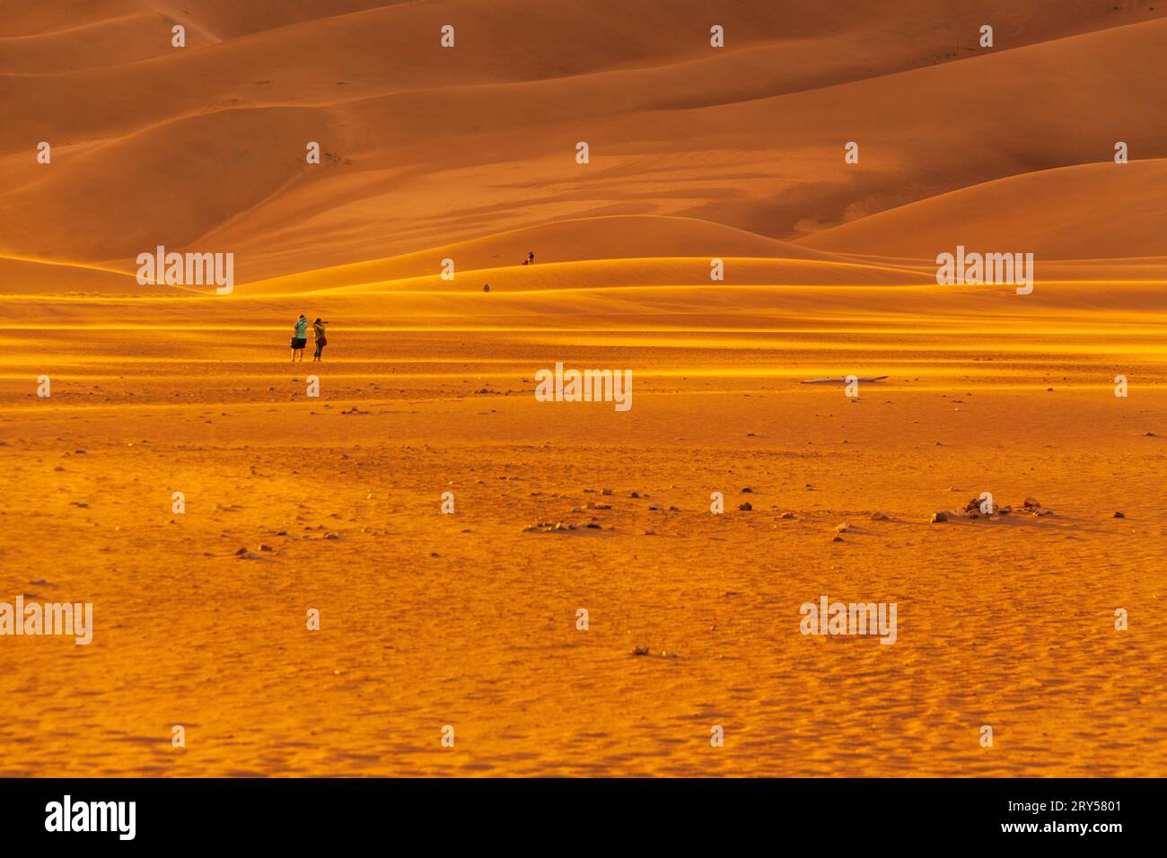 Parc national de Great Sand Dunes dans le Colorado au coucher du soleil avec un vent fort soufflant alors que les nuages de tempête se rassemblent. Ce sont les dunes les plus hautes d'Amérique du Nord. Banque D'Images