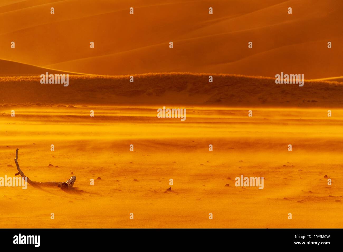 Parc national de Great Sand Dunes dans le Colorado au coucher du soleil avec un vent fort soufflant alors que les nuages de tempête se rassemblent. Ce sont les dunes les plus hautes d'Amérique du Nord. Banque D'Images