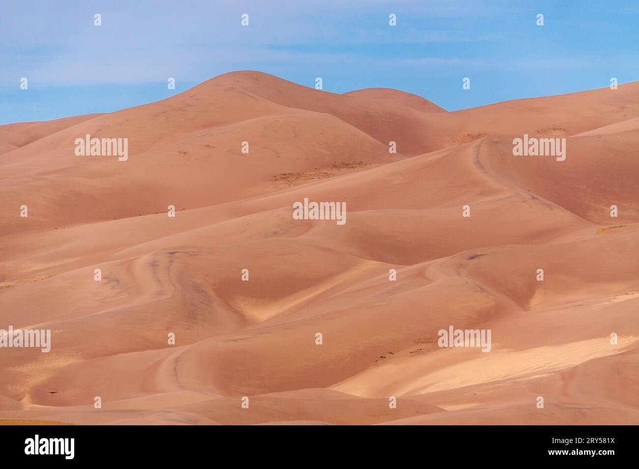 Parc national de Great Sand Dunes dans le Colorado. Ce sont les dunes de sable les plus hautes en Amérique du Nord, réparties sur 30 milles carrés à des altitudes supérieures à 8200 pieds. Banque D'Images