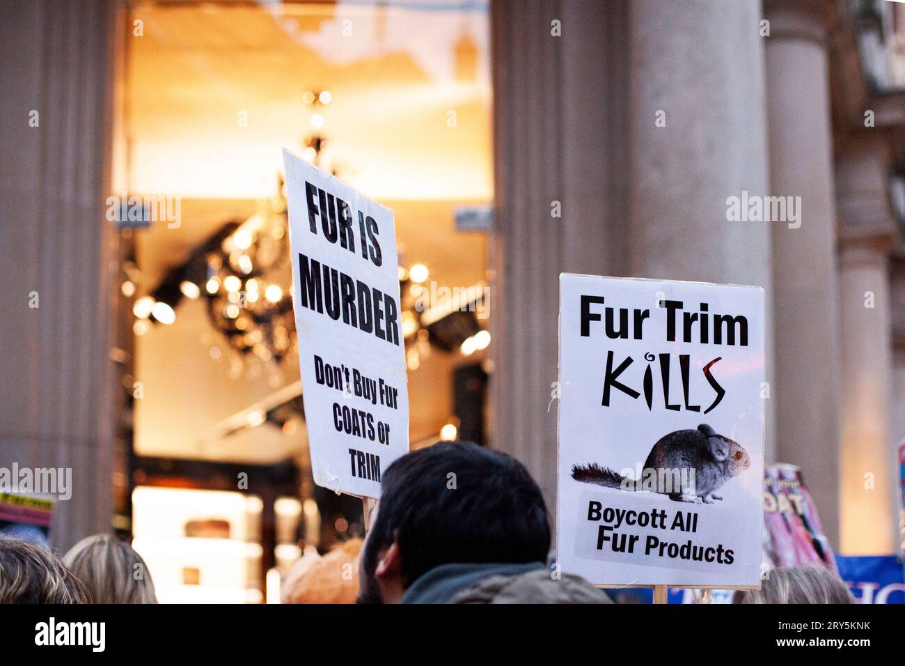 Manifestation anti fourrure pour les droits des animaux devant Dolce & Gabana Londres le 30 novembre 2013 Banque D'Images