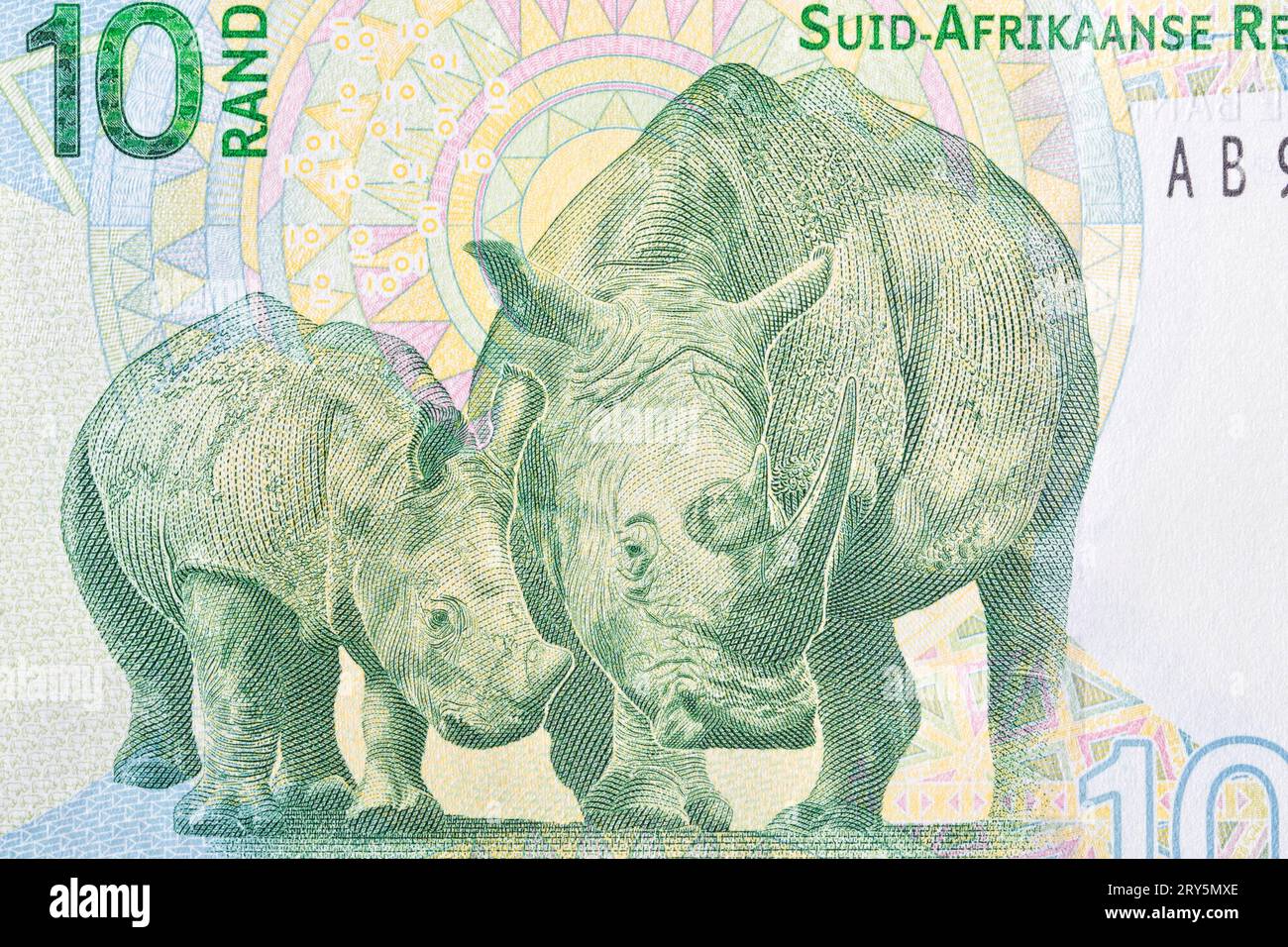 Rhinocéros de rand sud-africain Banque D'Images