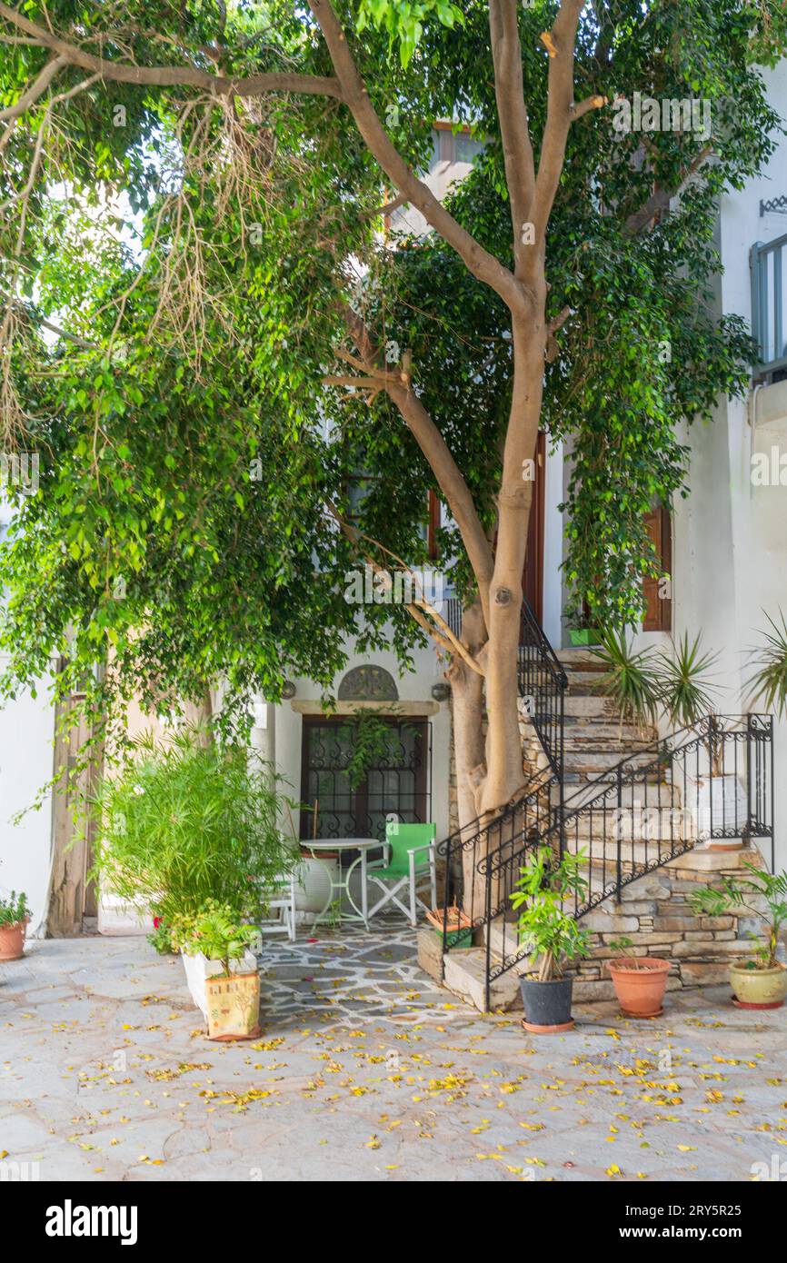 Scène de rue typique sur le Naxos une des îles des Cyclades en Grèce Banque D'Images