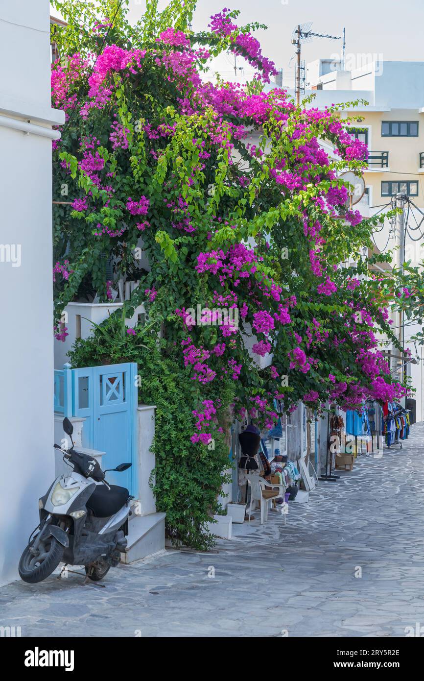 Scène de rue typique sur le Naxos une des îles des Cyclades en Grèce Banque D'Images