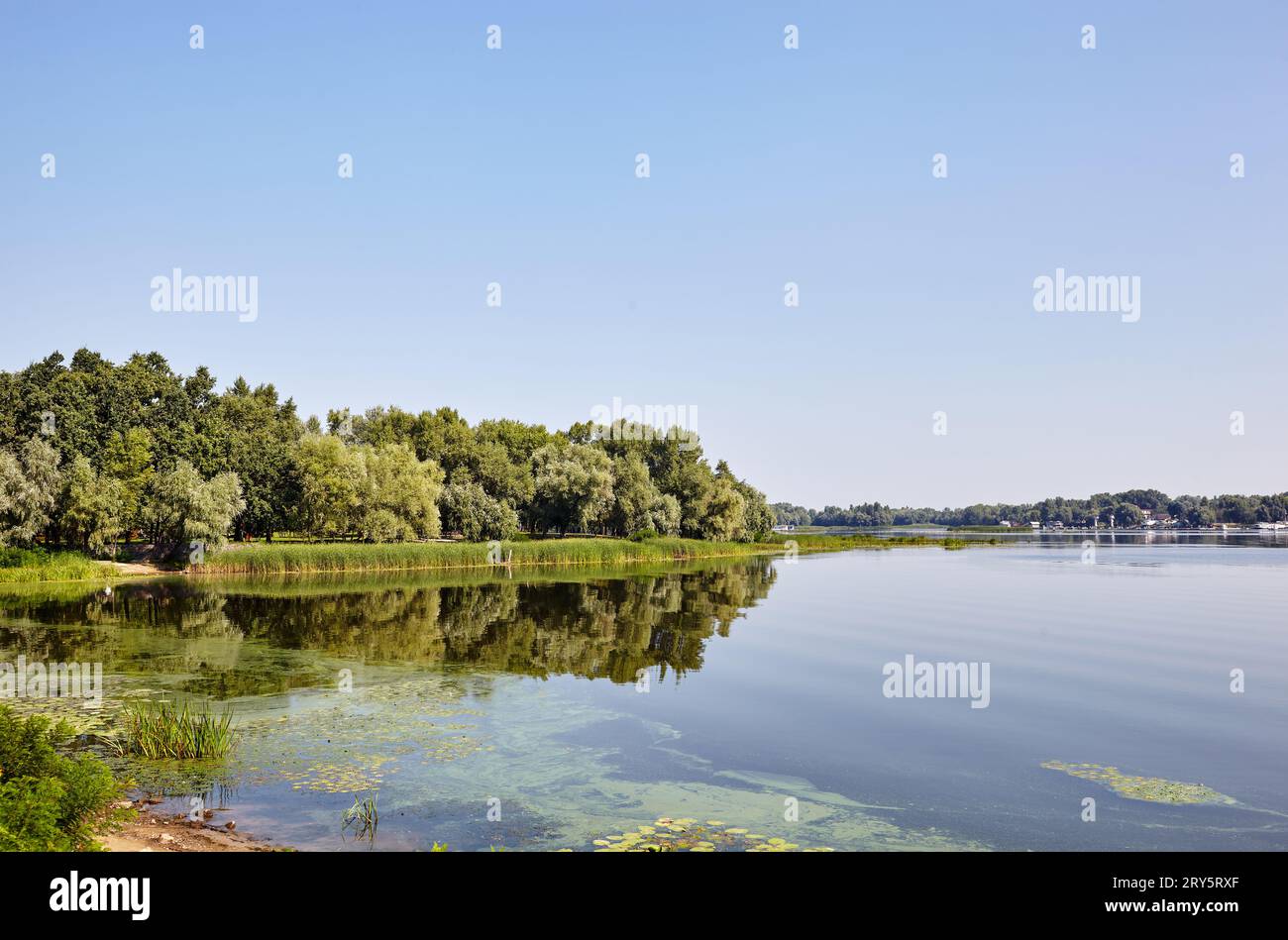 Paysage avec des arbres denses près de la rivière à Kiev, Europe. Jetée avec yachts garés sur fond Banque D'Images