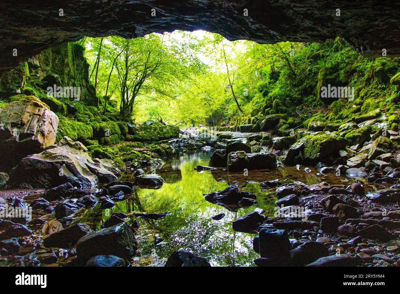 Grotte de Porth yr Ogof sur la rivière Mellte, parc national de Brecon Beacons, pays de Galles, Royaume-Uni Banque D'Images