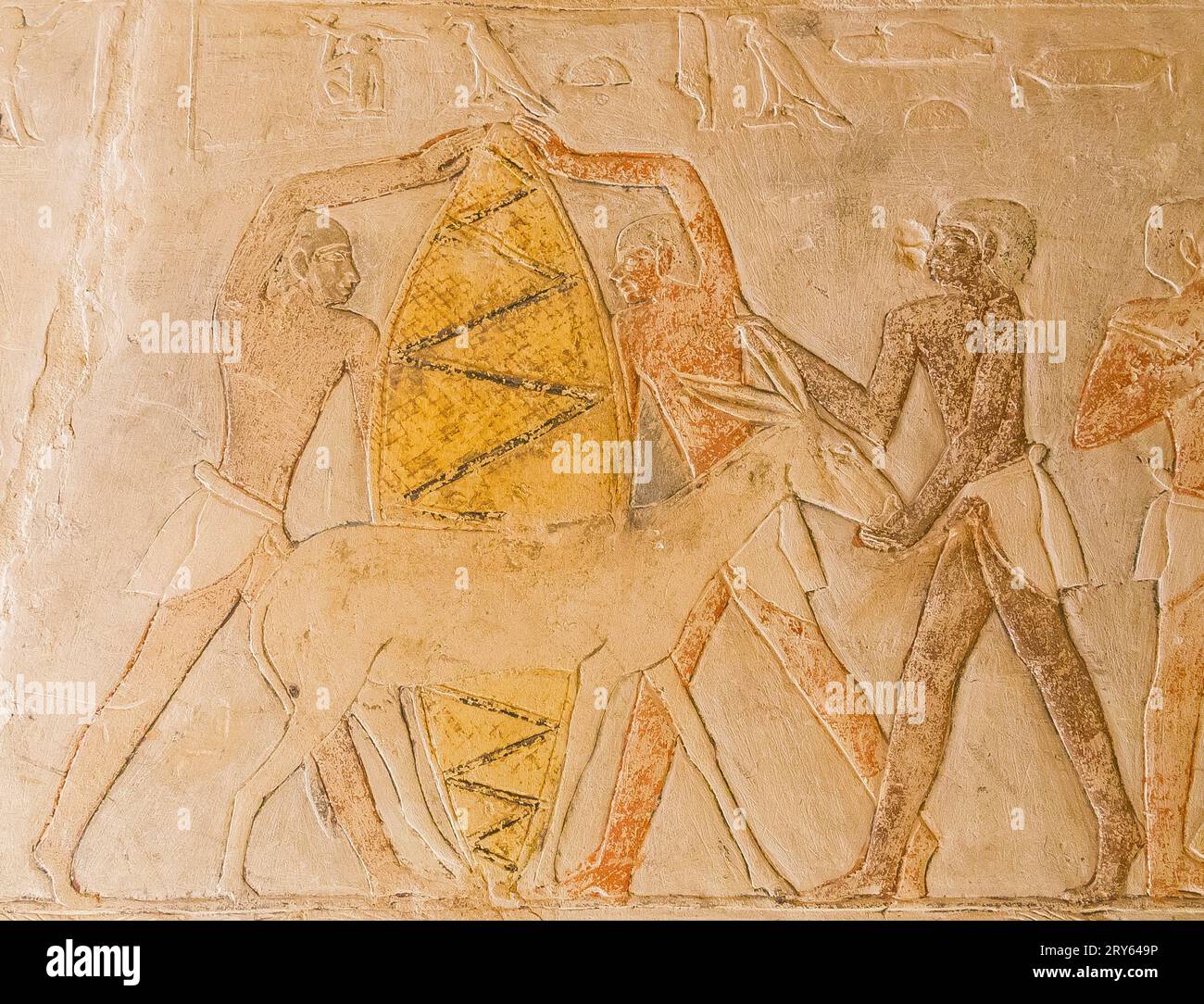 Egypte, Saqqara, tombeau de Mehu, mettez un grand sac sur l'âne. Banque D'Images