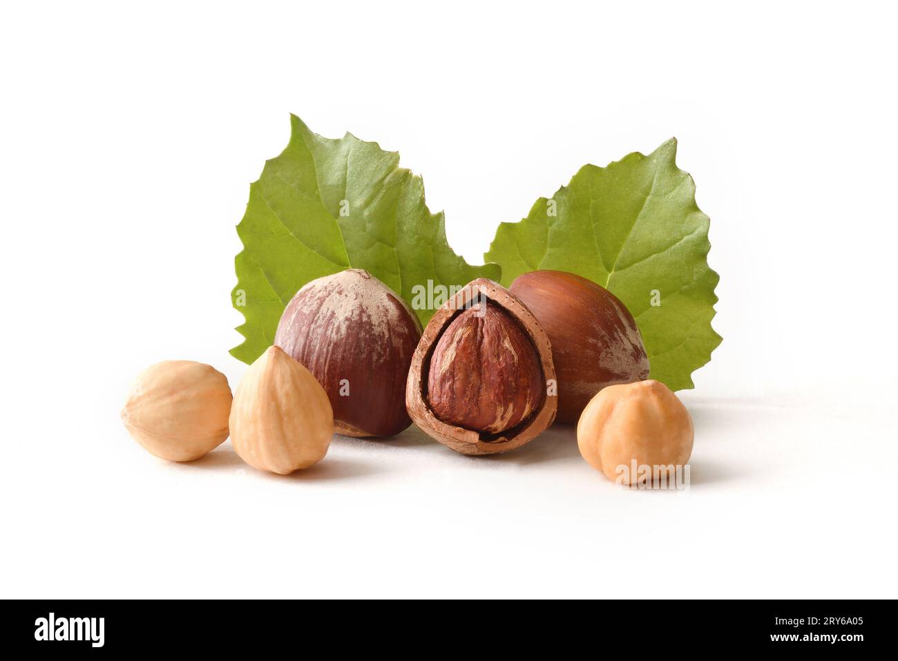Détail de noisettes pelées et décortiquées avec des feuilles isolées sur blanc. Vue avant. Banque D'Images