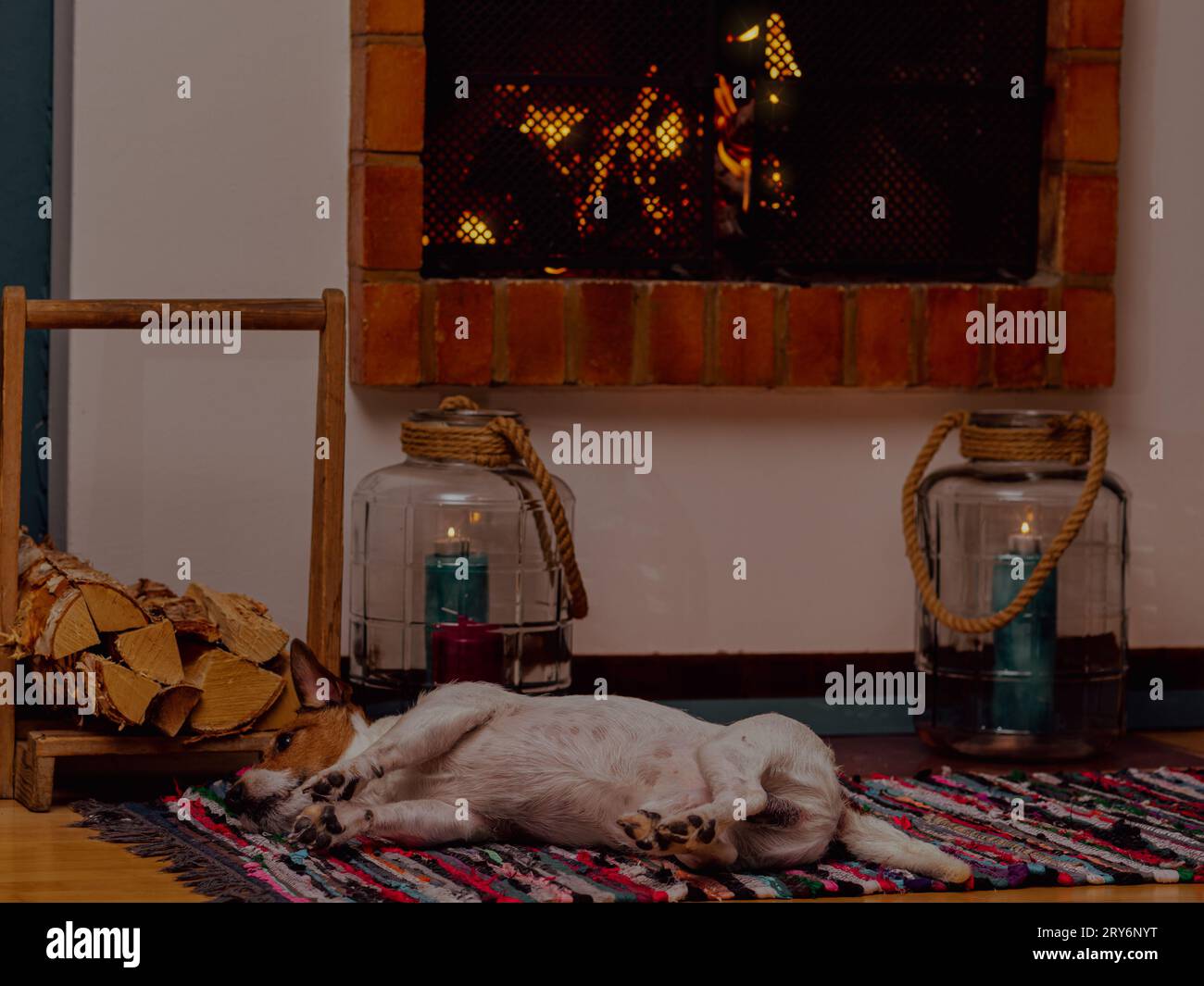 Scène domestique confortable avec chien reposant devant le feu dans la cheminée et les bougies Banque D'Images