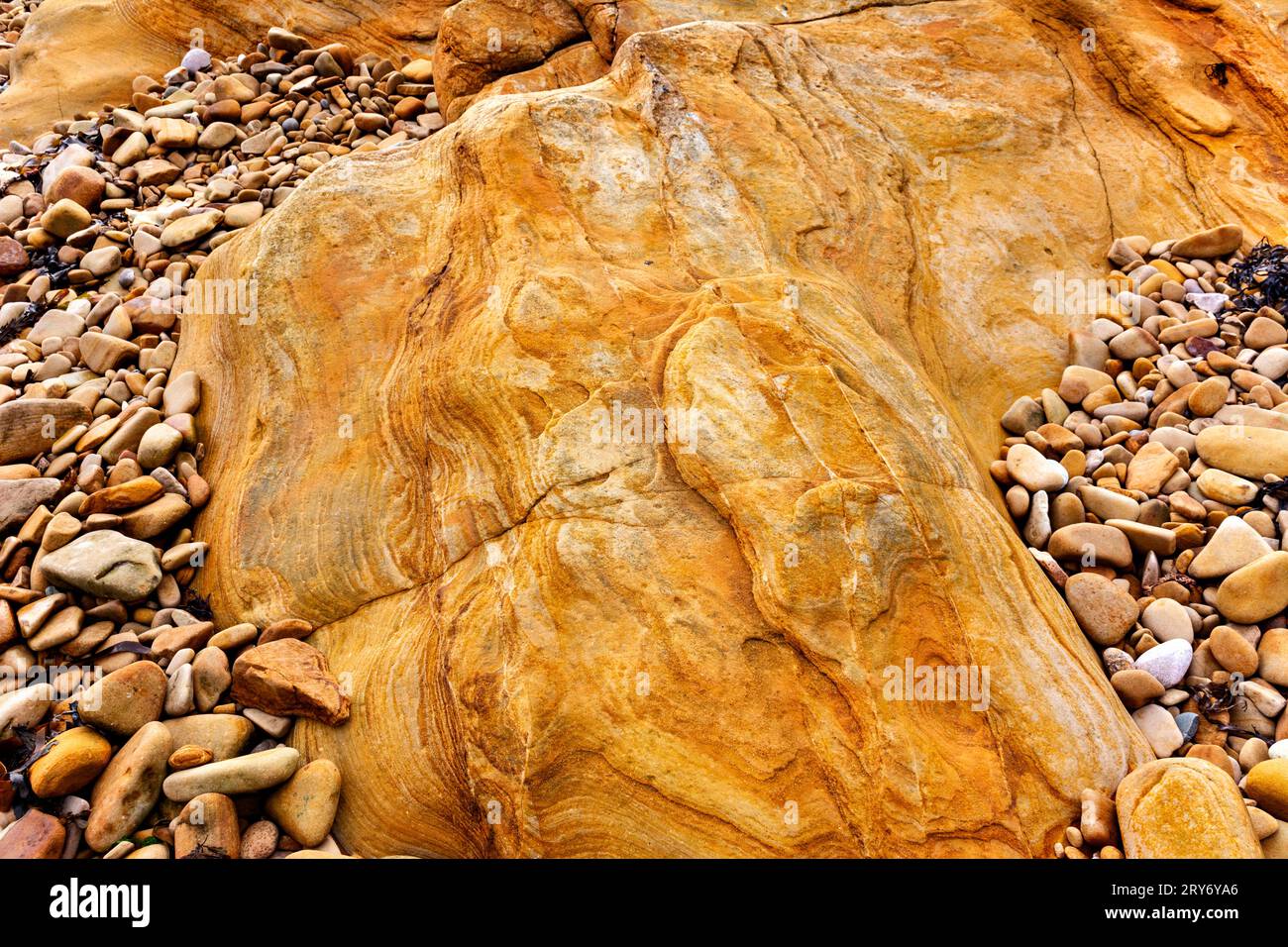 Hopeman Moray Coast Scotland une section de grès doré sur la plage de galets Banque D'Images