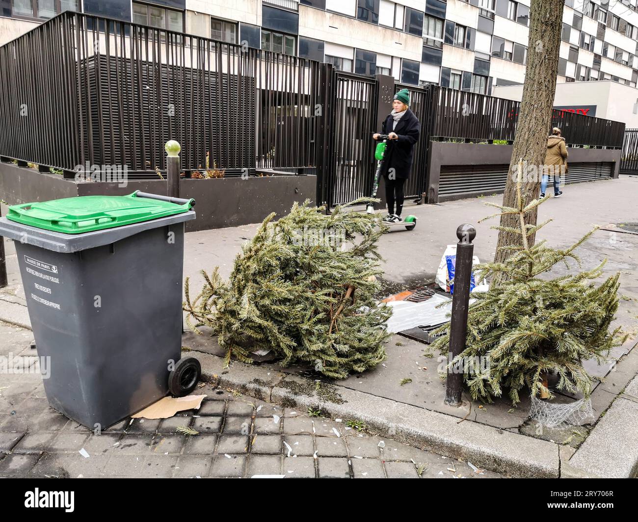 JETEZ VOTRE SAPIN DE NOËL À PARIS Banque D'Images