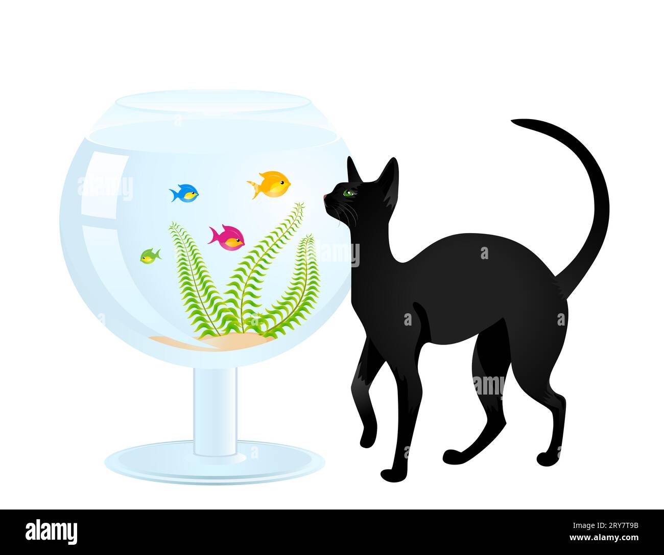 Le chat joue avec un petit poisson dans un aquarium a W Banque D'Images