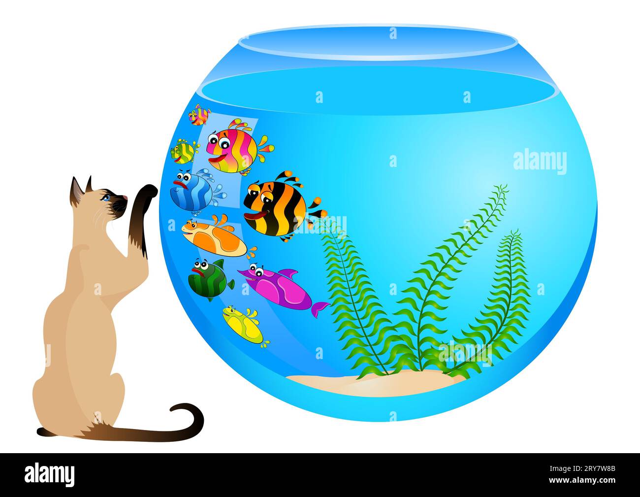 Chat de dessin animé avec peu de poissons tropicaux colorés dans Banque D'Images