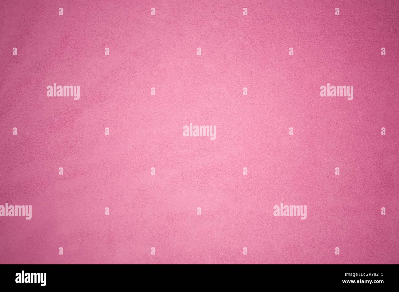 Daim rose Banque D'Images