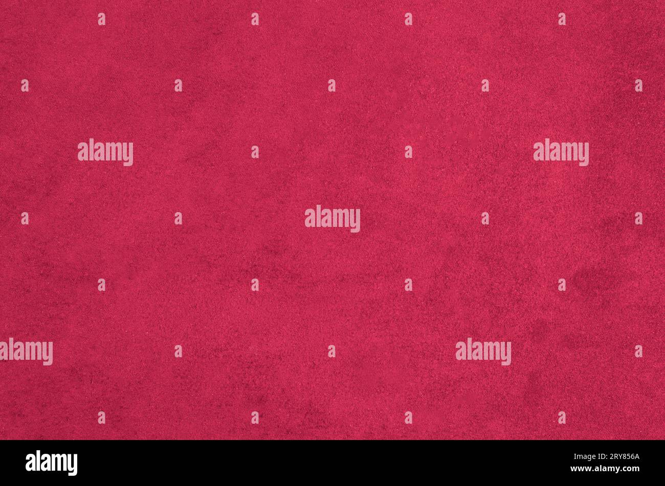 Daim rose Banque D'Images