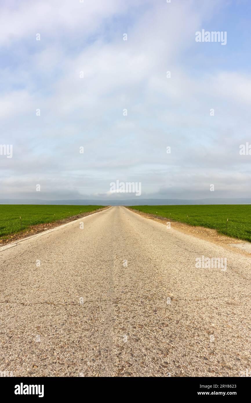 vue de la route droite sans fin entre les prairies verdoyantes Banque D'Images