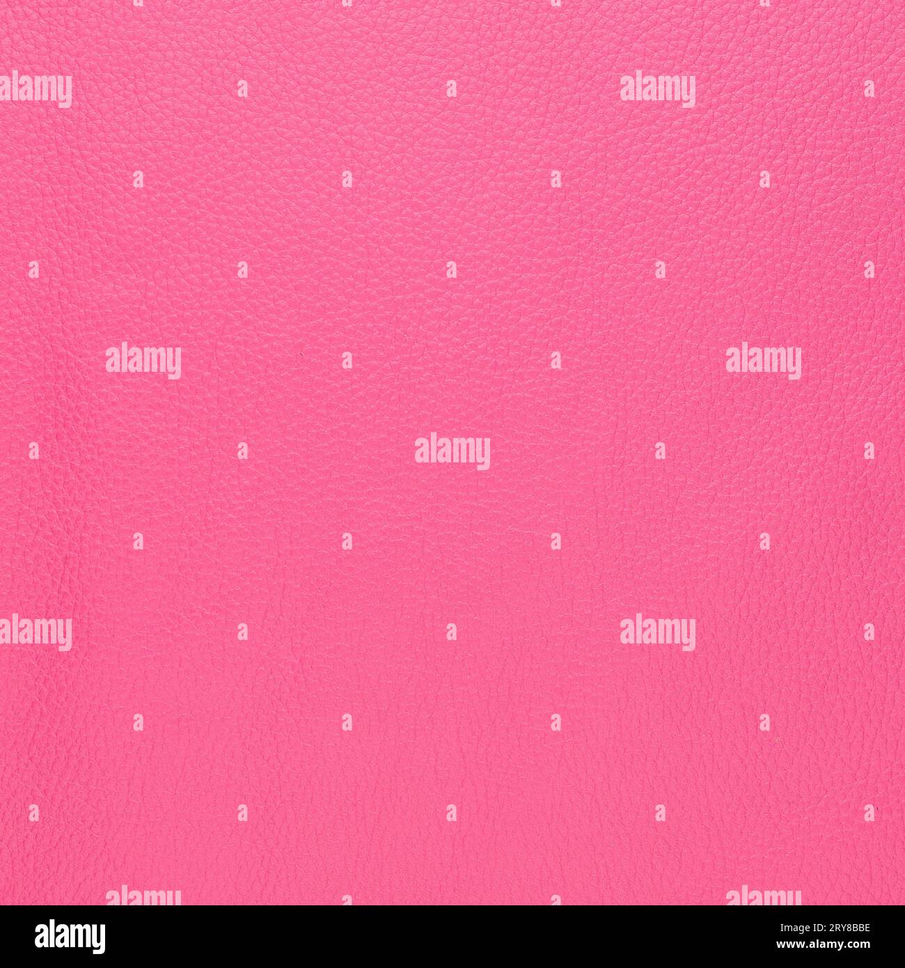 Daim rose Banque D'Images