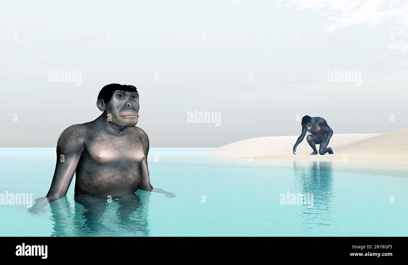 Homo Habilis - évolution humaine Banque D'Images