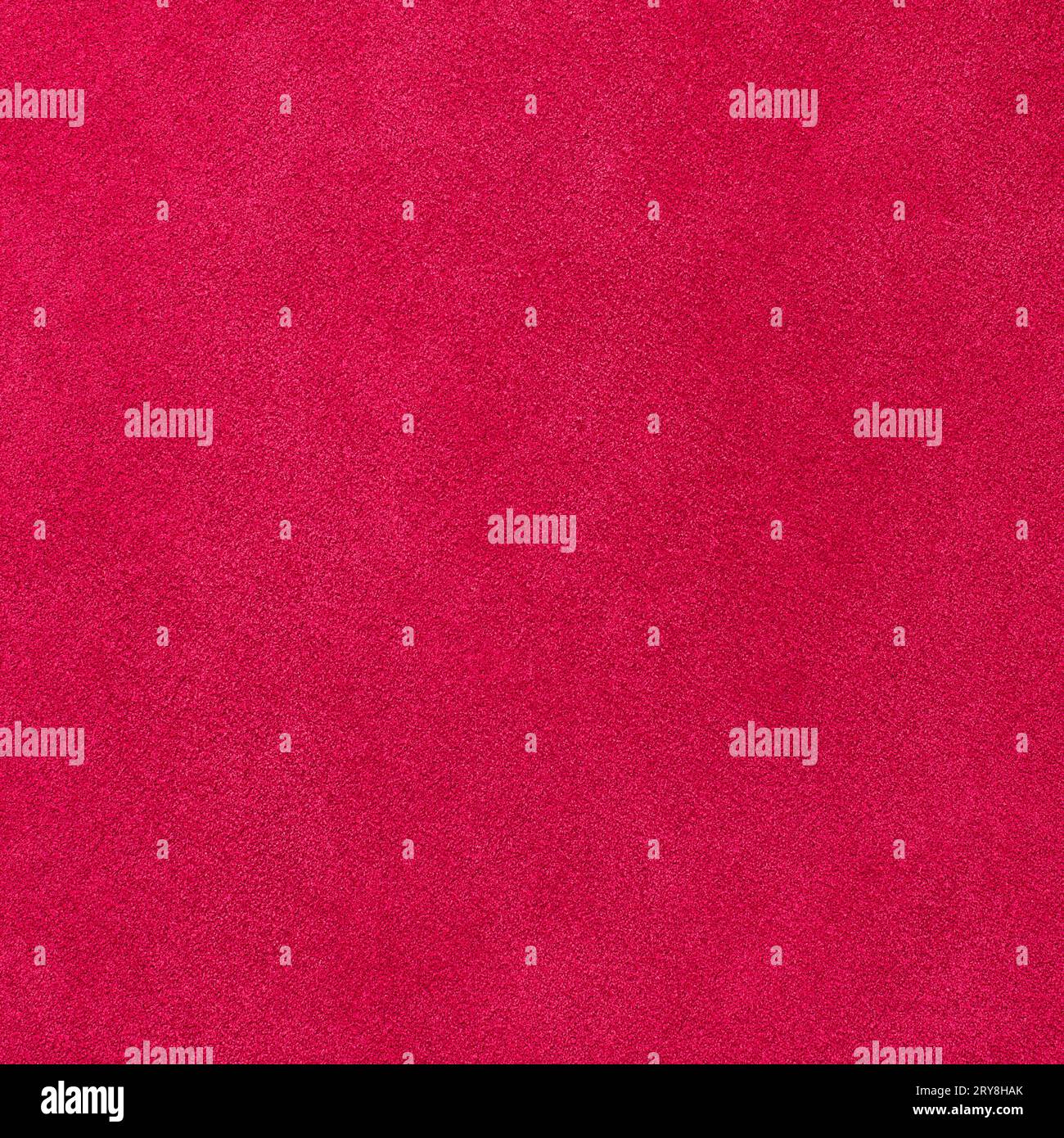 Daim rose Banque D'Images