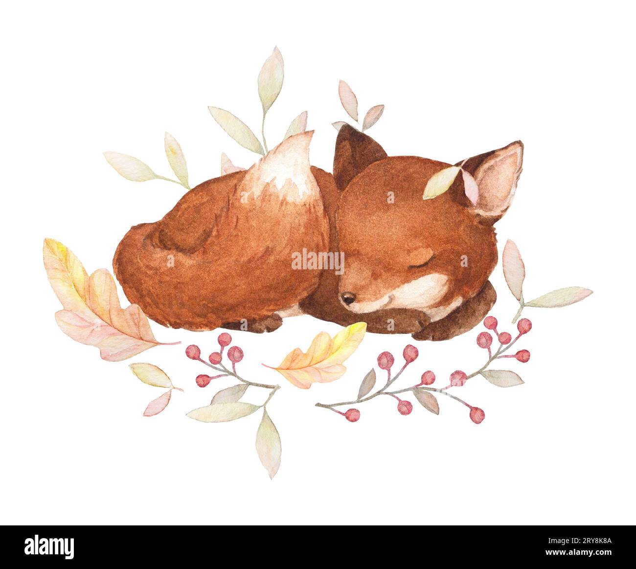 Aquarelle Little Fox, clip Art de couronne d'automne, carte bébé d'automne, composition pré-faite Banque D'Images
