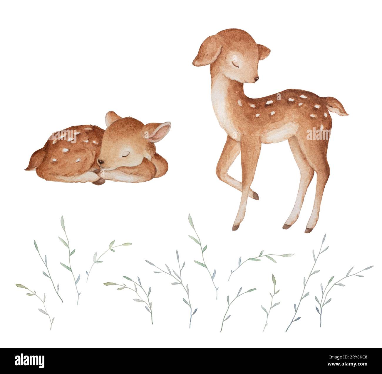 Little Deer Sleeping Aquarelle, fleurs herbes illustrations, Baby Clipart, fond blanc Banque D'Images