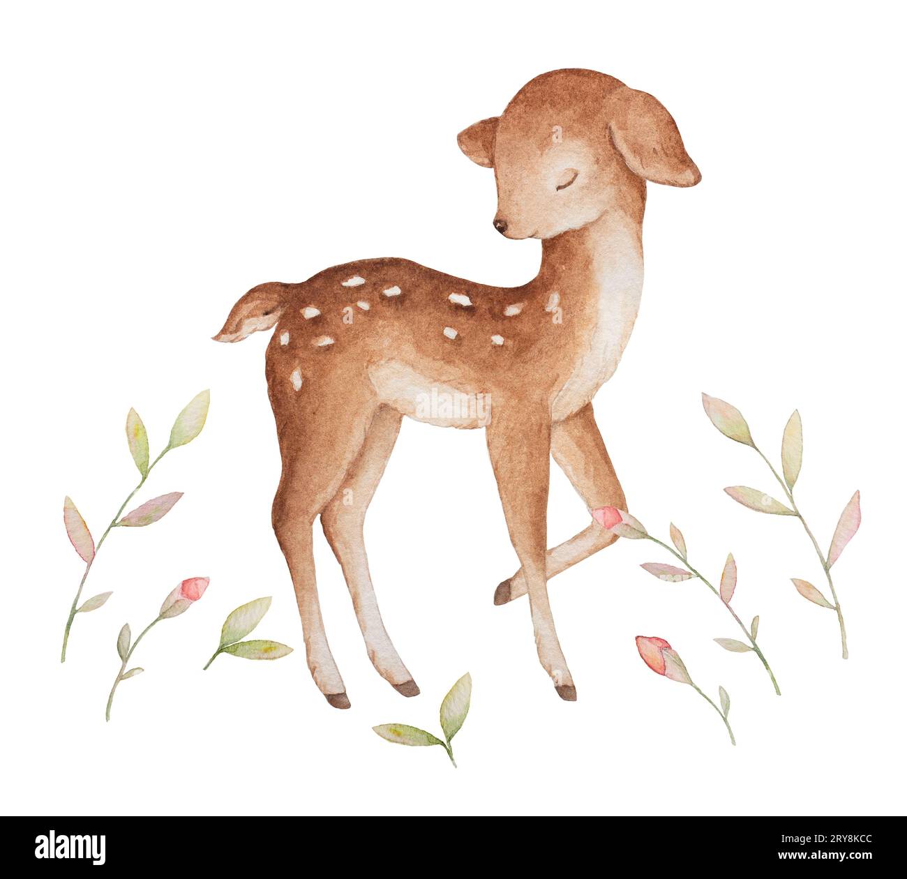 Little Deer Sleeping Aquarelle, Wildflowers Aquarelle, composition pré-faite, Baby Clipart Banque D'Images