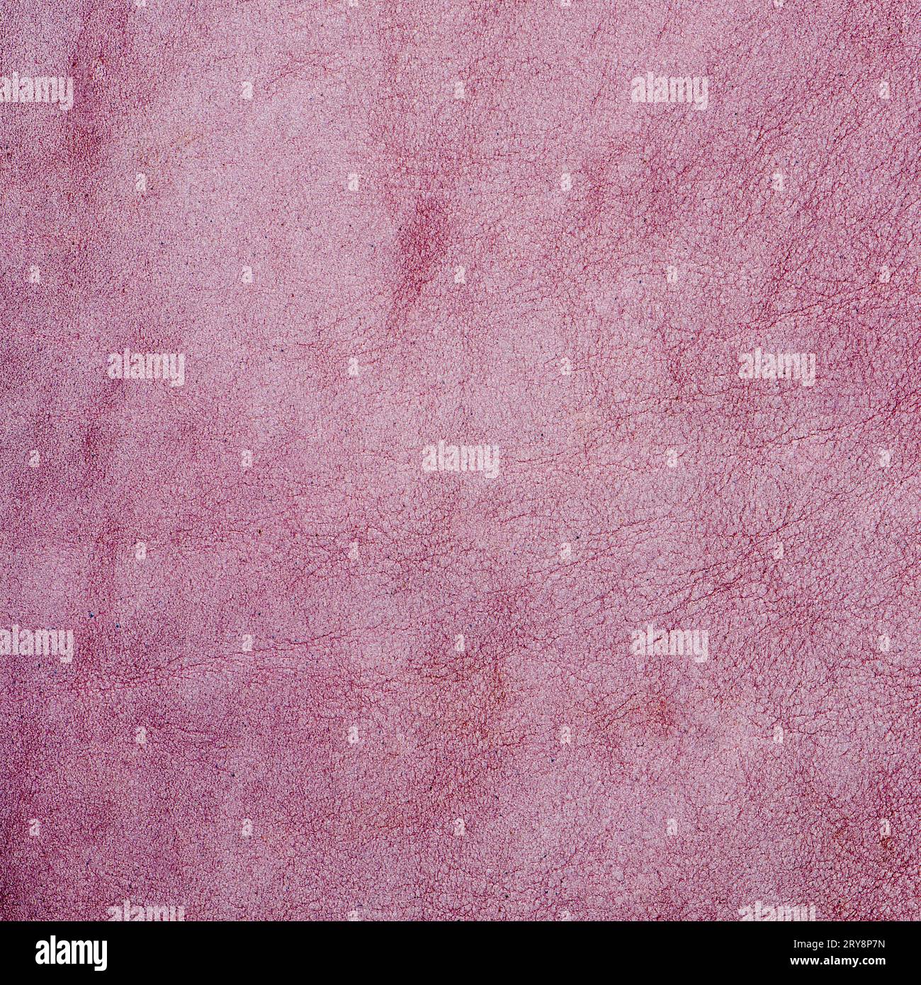 Daim rose Banque D'Images