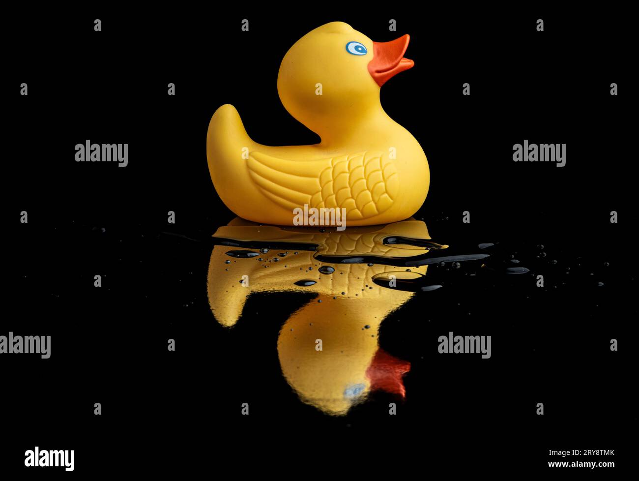canard jaune avec fond noir Banque D'Images
