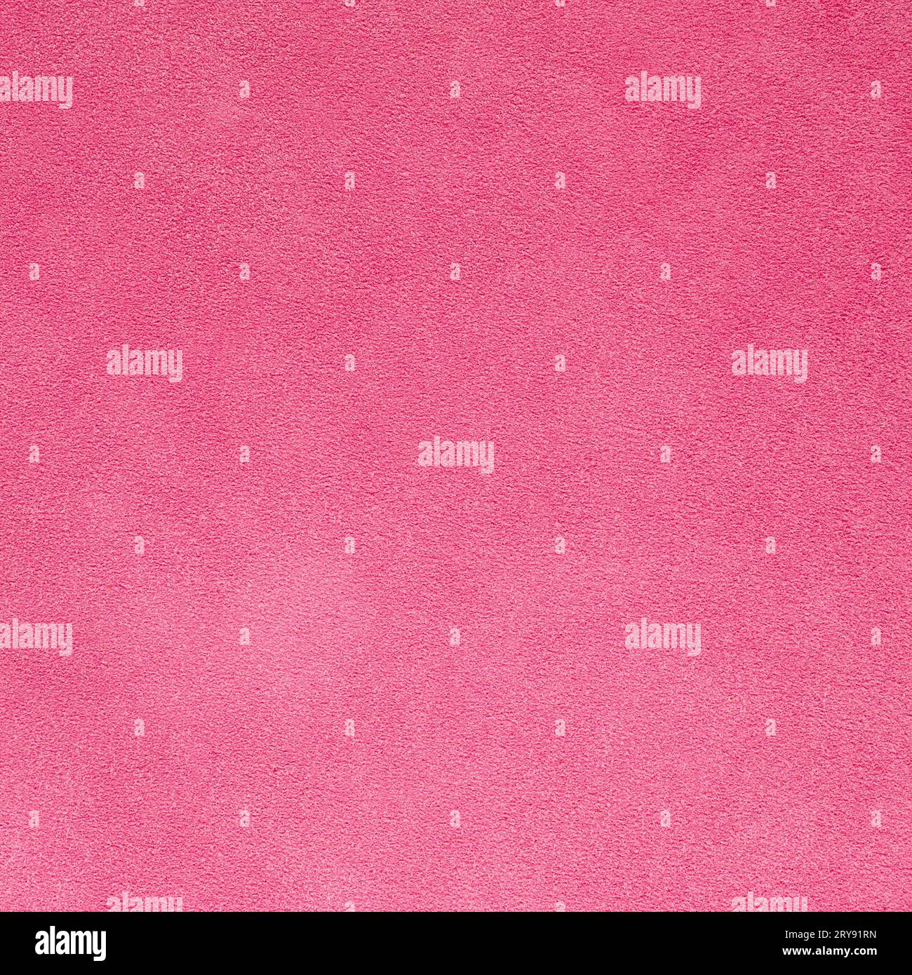Daim rose Banque D'Images